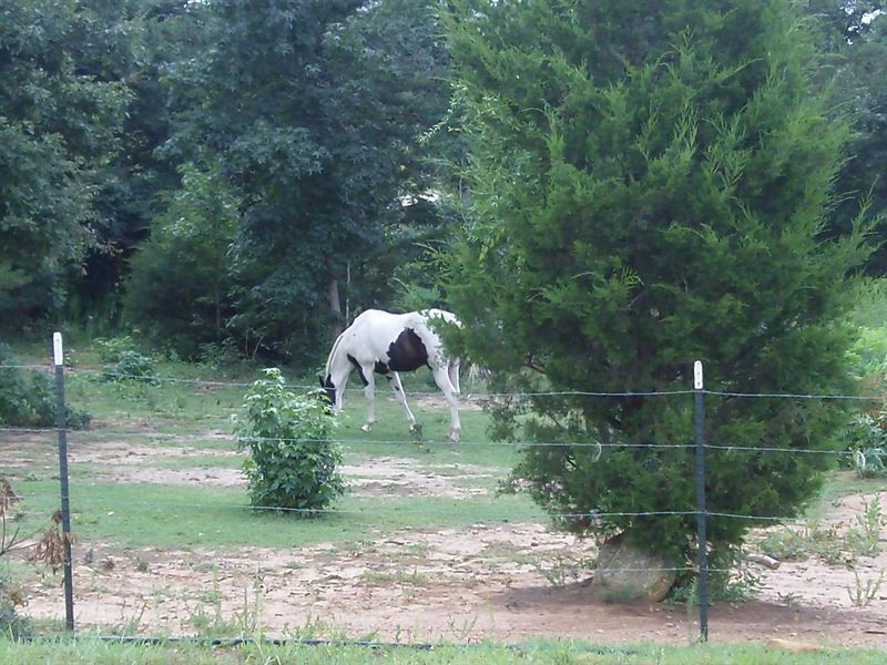 Turkey Creek Farms, 3.76 Acre Lot : Hogansville : Meriwether County : Georgia