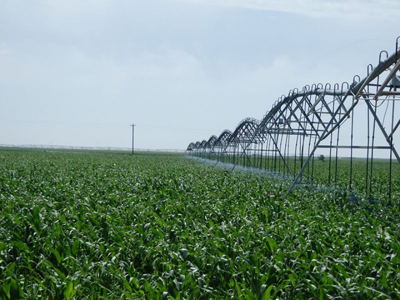 Beautiful 2400 Acre Irrigated Farm, Land for Sale in Texas, 78305