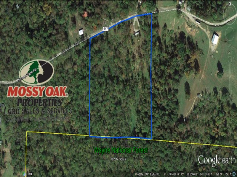 13 Acre Hunting Camp On Public Land For Sale In Ohio 78599 Landflip 1438
