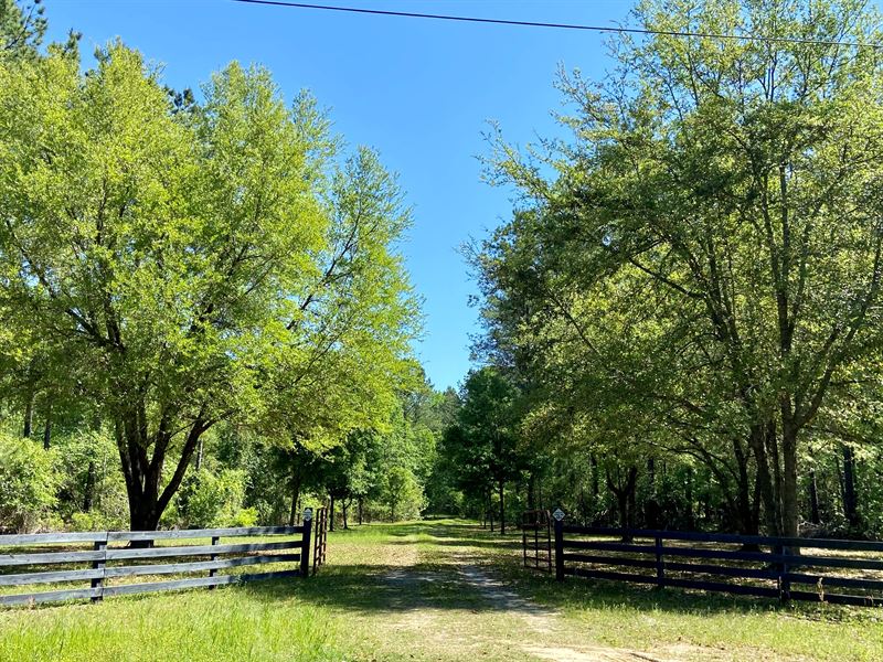 Bass Lake / D. V. Richardson : Georgetown : Georgetown County : South Carolina