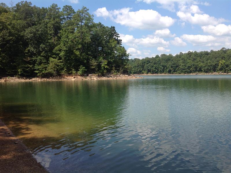 67-041-lewis-smith-lake-land-for-sale-in-arley-winston-county