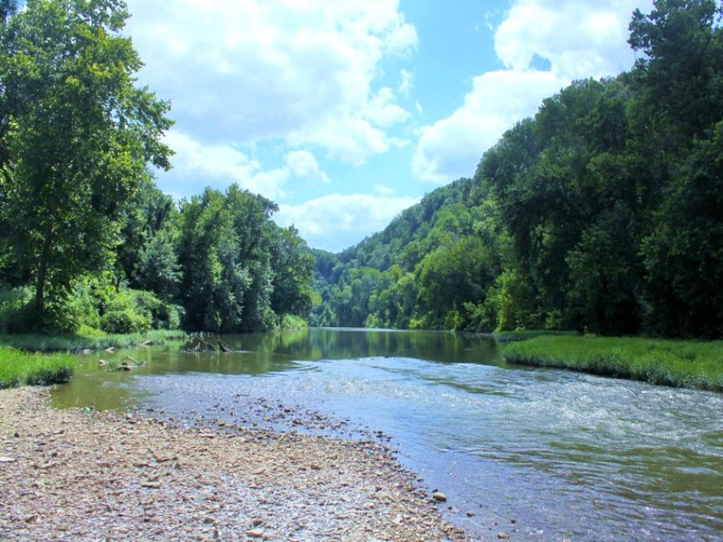 100 Acres On The Harpeth River : Land for Sale in White Bluff, Cheatham ...