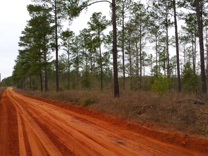 Great Small Tract : Coleman : Randolph County : Georgia