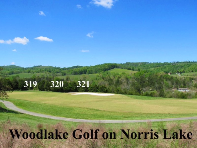 3 Golf Course Lots At Woodlake Golf Land for Sale by Owner in