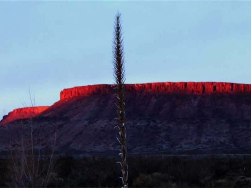 East Rim Ranch 80 Acre Tract : Alpine : Brewster County : Texas